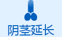 阴茎延长